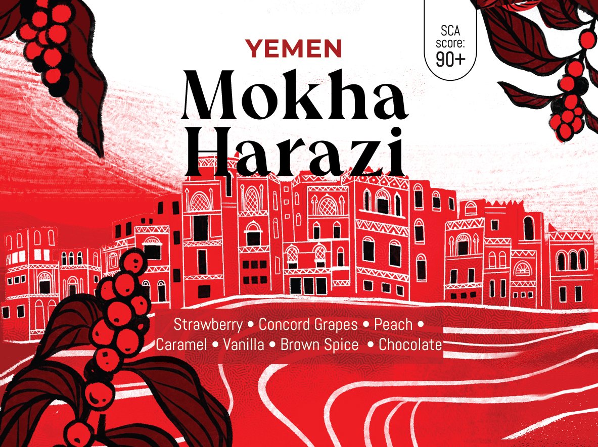 Yemen Mokha Harazi - Image 4