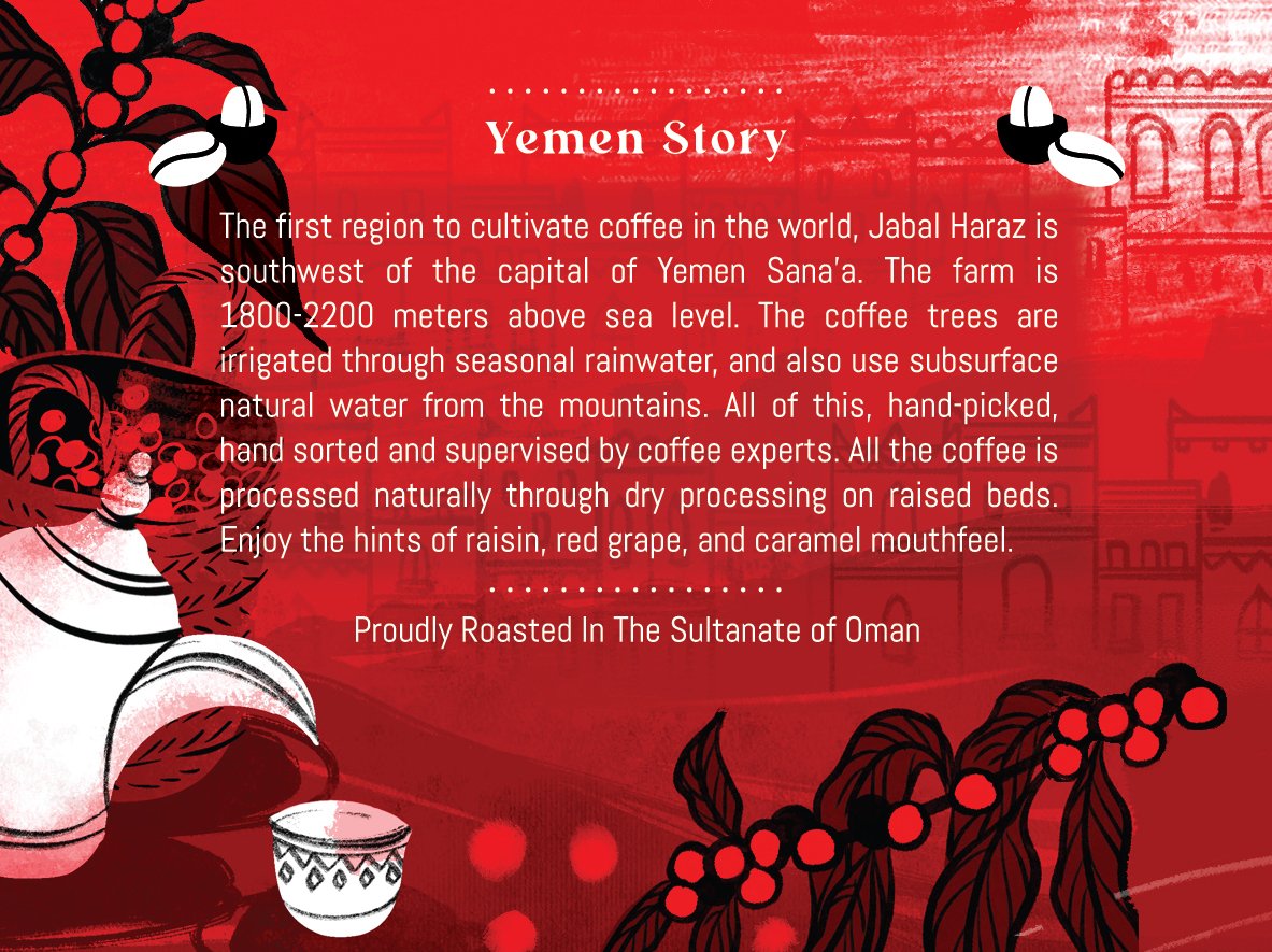 Yemen Mokha Harazi - Image 2