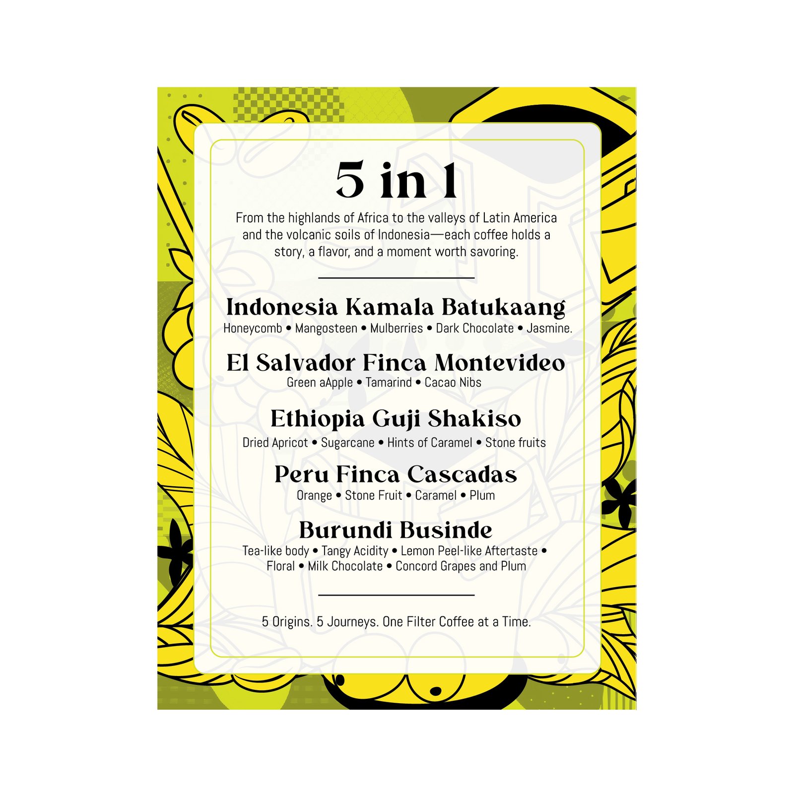 Drip Filter Coffee - 5 in 1 Collection - Image 2