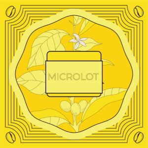 Copper Roastery new website ICONS microlot