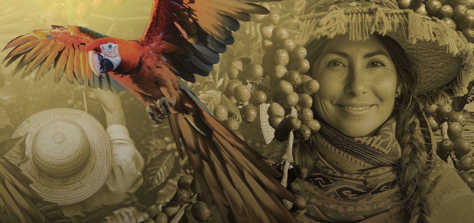 Copper Roastery south america 1536x723 1