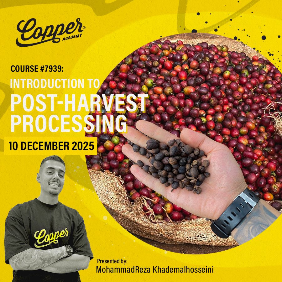 Copper Academy coffee class – Introduction to Post Harvest Processing