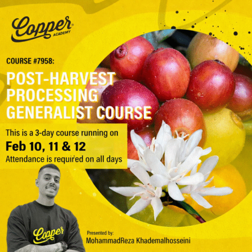 Post-Harvest Processing Generalist 3 Day Course